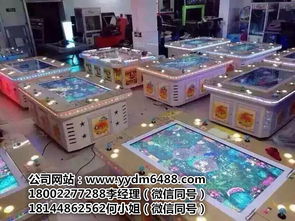 游戏厅电玩游戏机大全——探访广州市番禺区东环勇车动漫产品开发部